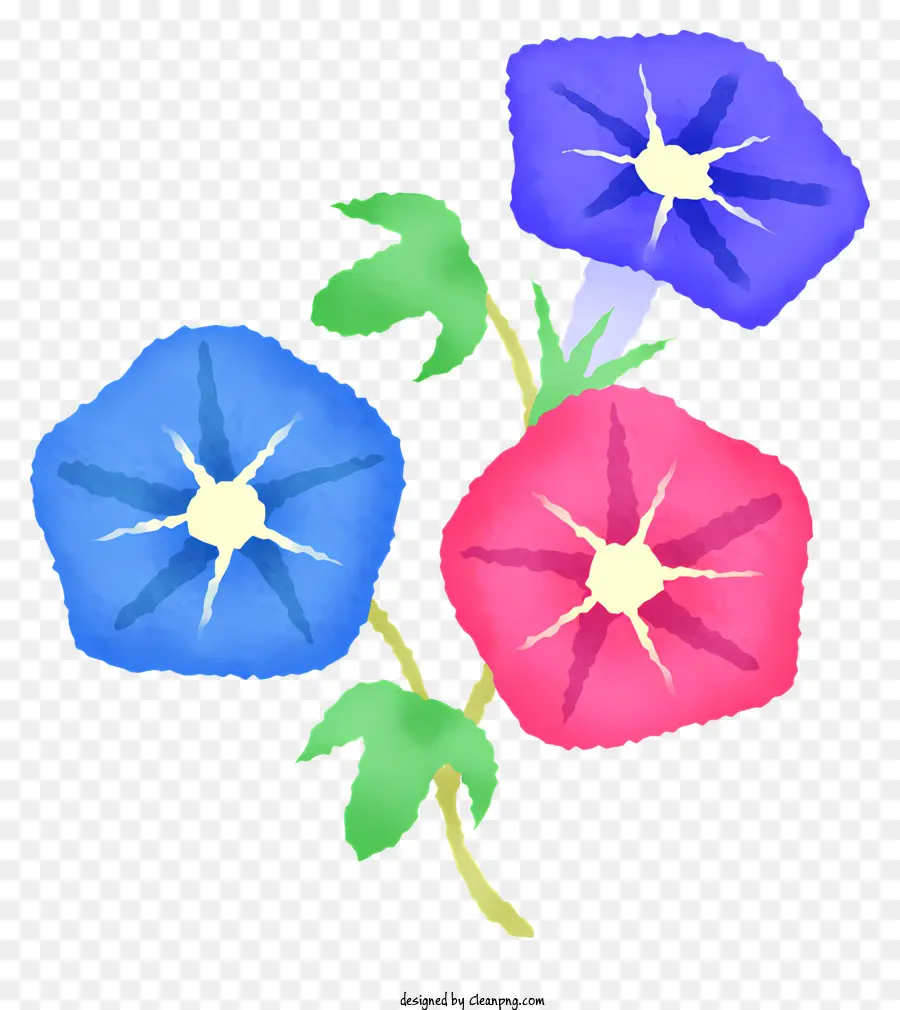 ดอกไม้สีชมพู，สีน้ำเงินดอกไม้ PNG