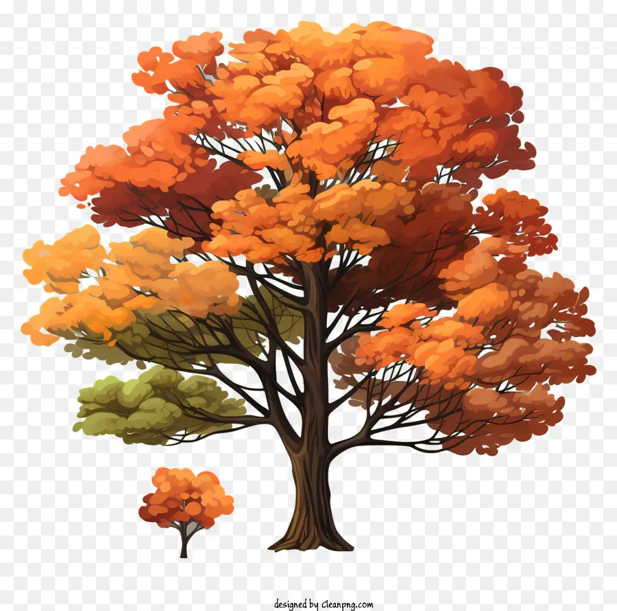 Sketch Style Autumn Tree，ใหญ่ต้นไม้ PNG