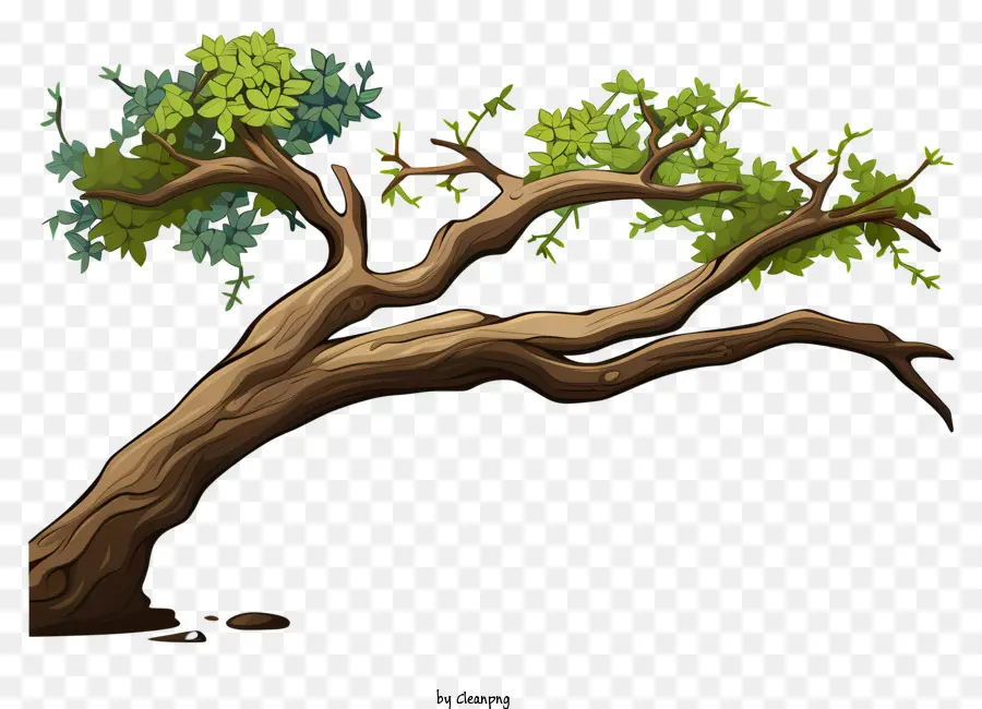 Doodle Style Tree Branch，ใบไม้สีเขียว PNG