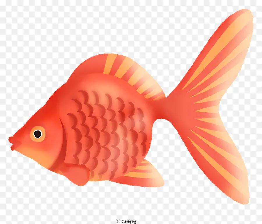 แดงปลา，เปิดปาก PNG