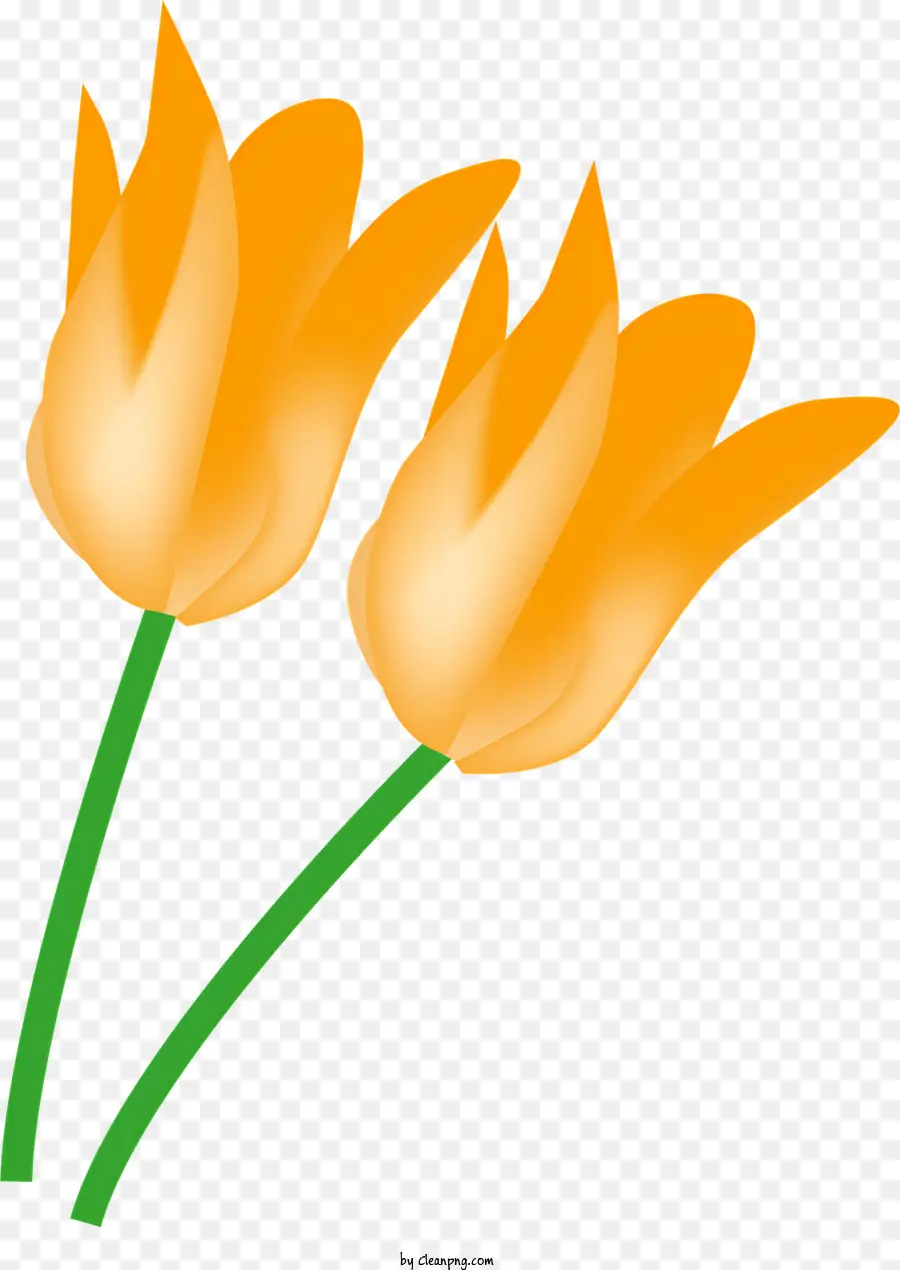 สีส้ม Tulips，การออกแบบดอกทิวลิปที่เก๋ไก๋ PNG