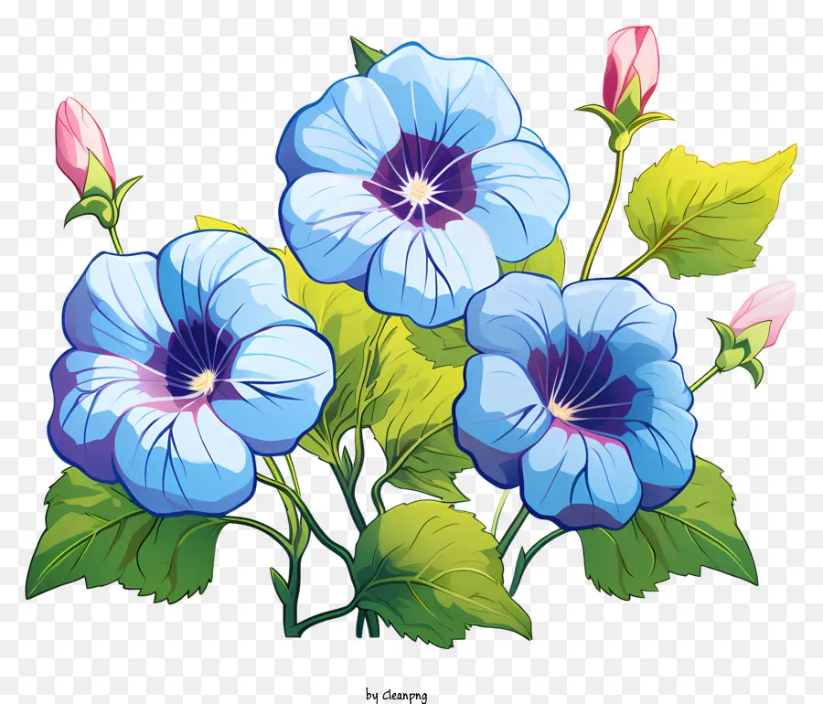 Doodle Style Morning Glory Flower，Pansies สีน้ำเงิน PNG