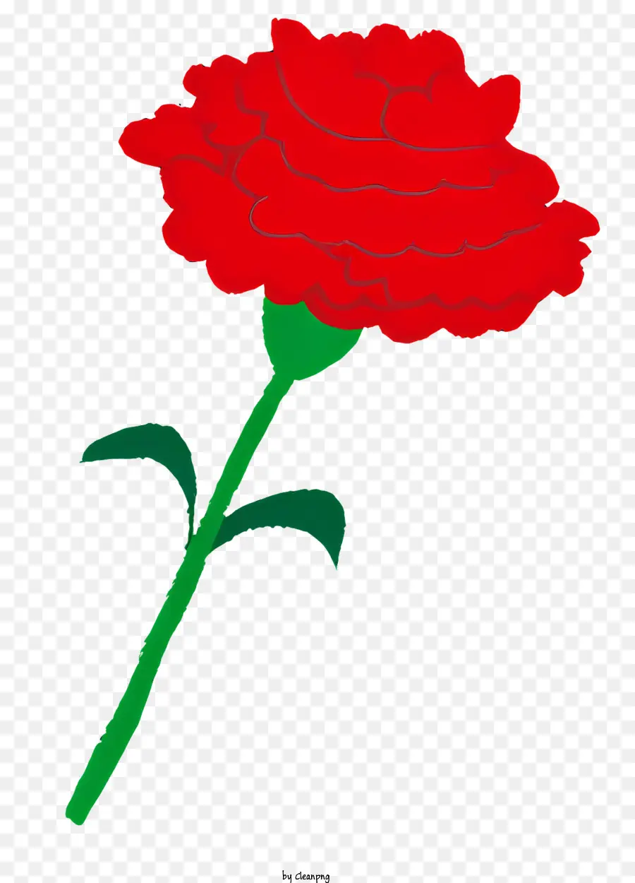 ดอกไม้，สีแดงมันทับดอกคาร์เนชั่น PNG