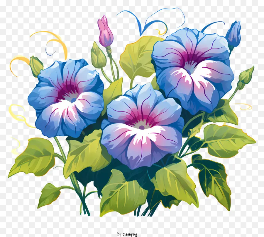 Doodle Style Morning Glory Flower，สีฟ้าสวยดอกไม้ PNG