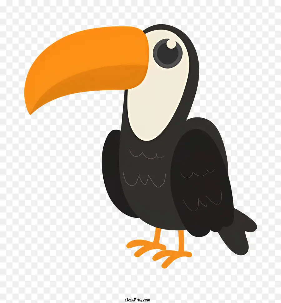 นกแก้วนก，Toucan PNG