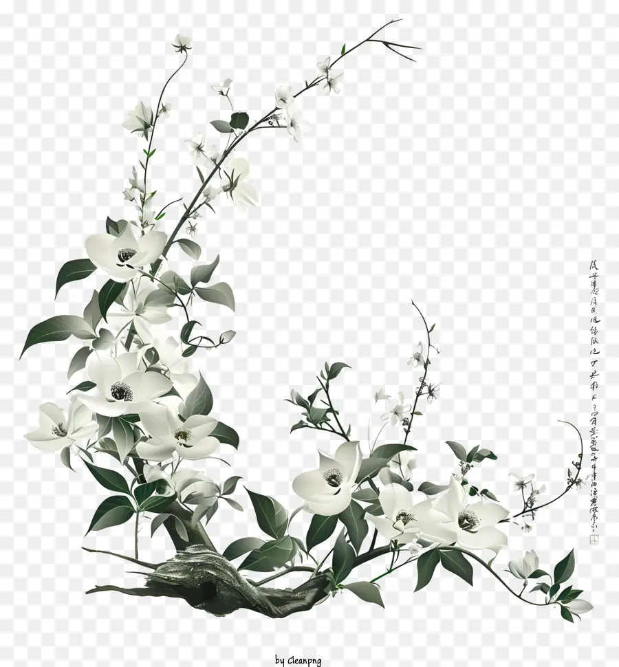 การจัดดอกไม้เซน，ต้นด็อกวู้ดสีขาว PNG