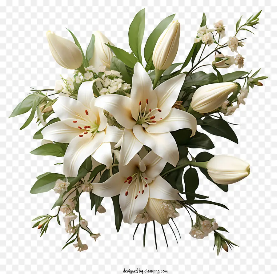 อีสเตอร์ลิลลี่，สีขาว Lilies PNG