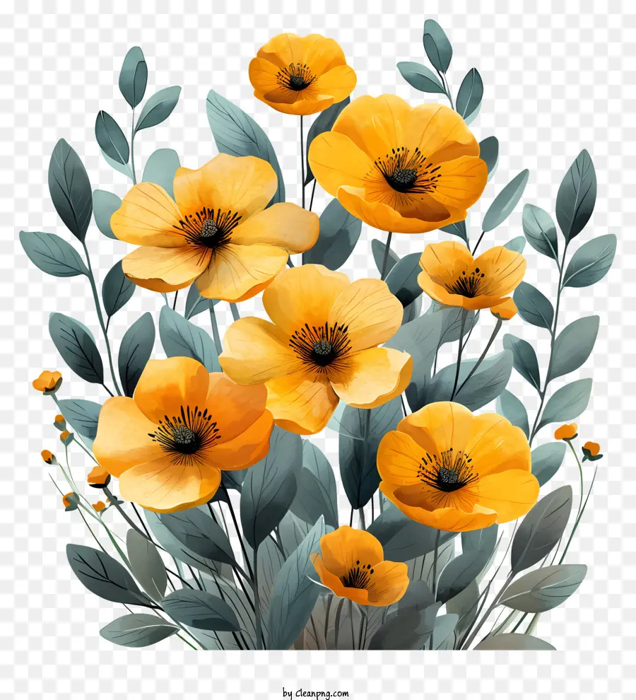 ทองดอกไม้，ภาพวาดของดอกป๊อปปี้ PNG