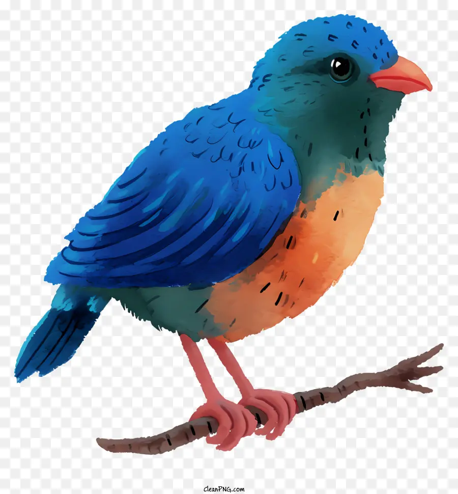นกสไตล์สีน้ำ，เล็กนก PNG