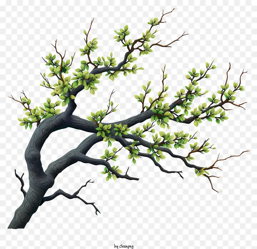 Doodle Style Tree Branch，กิ่งไม้ PNG