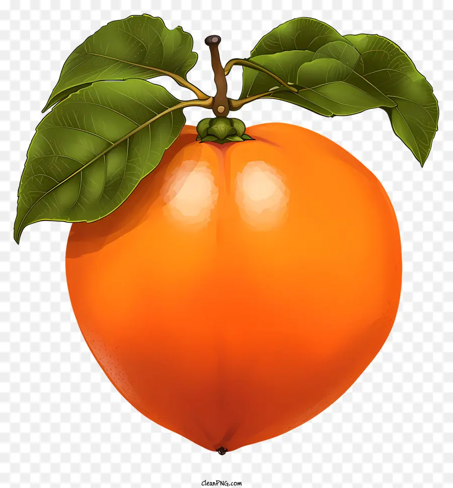 ลูกพลับสไตล์ Doodle，ส้มคั้นผลไม้ PNG