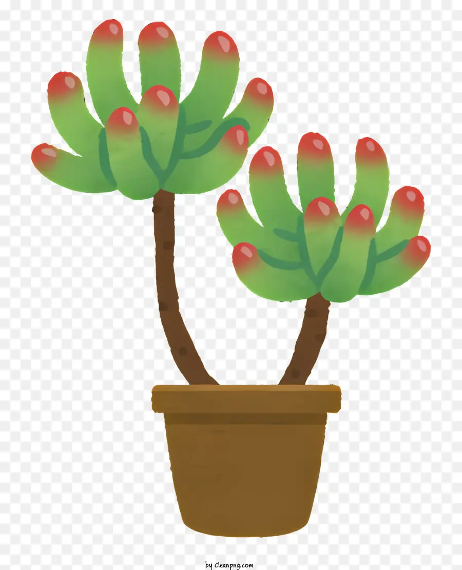ต้นไม้，เล็ก Cactus PNG