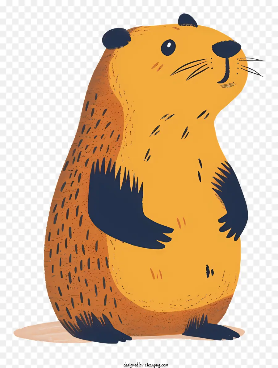 Cartoon Groundhog，กราวด์ฮ็อก PNG