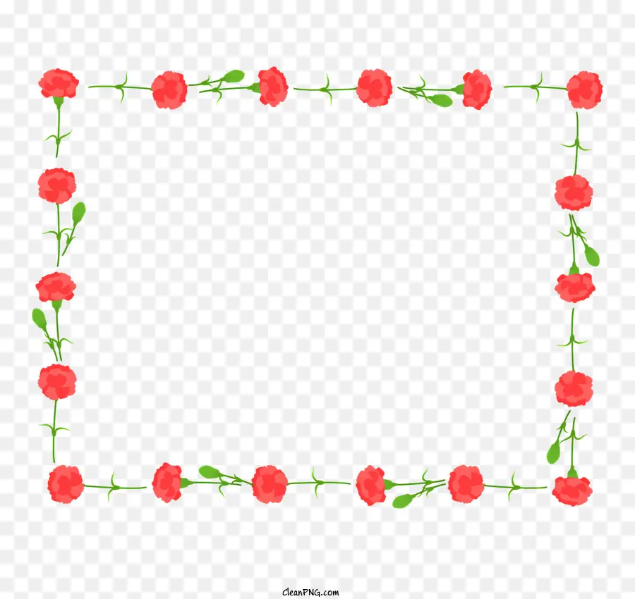 กรอบคาร์เนชั่น，ดอกไม้สีแดง PNG