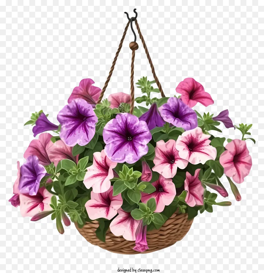 Petunia Flower Elegant Flower Hanging Basket Design Design，ดอกไม้สีม่วง PNG