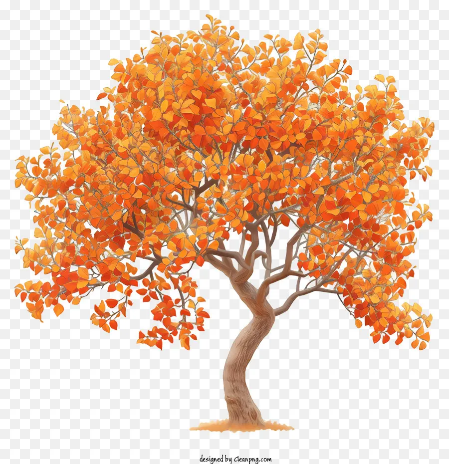 ต้นไม้สถาปัตยกรรม，สีส้มต้นไม้ PNG