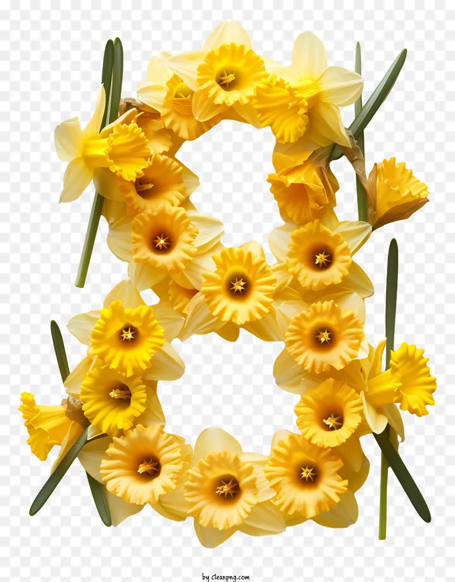 หมายเลขดอกไม้แปด，Daffodil หมายเลขแปด PNG