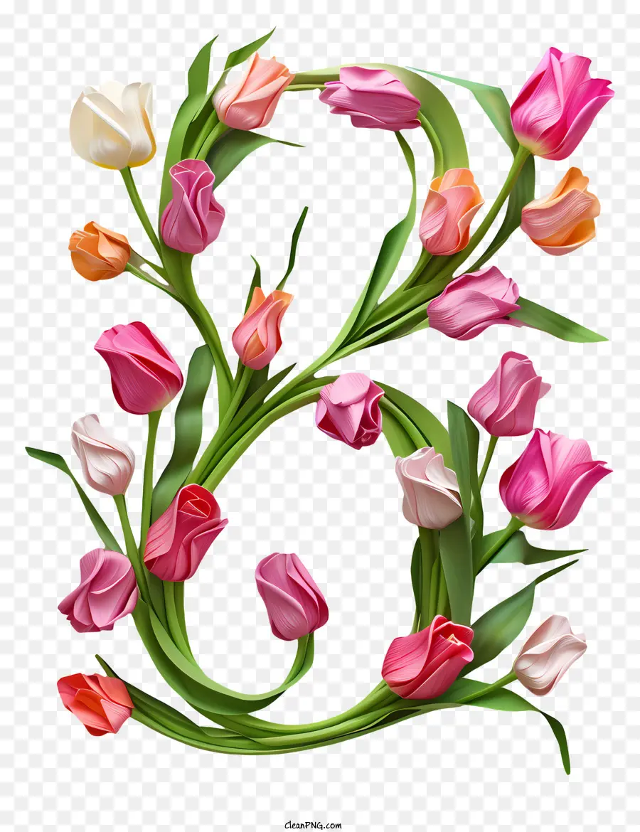 หมายเลขดอกไม้แปด，จดหมายทุนดอกทิวลิป PNG