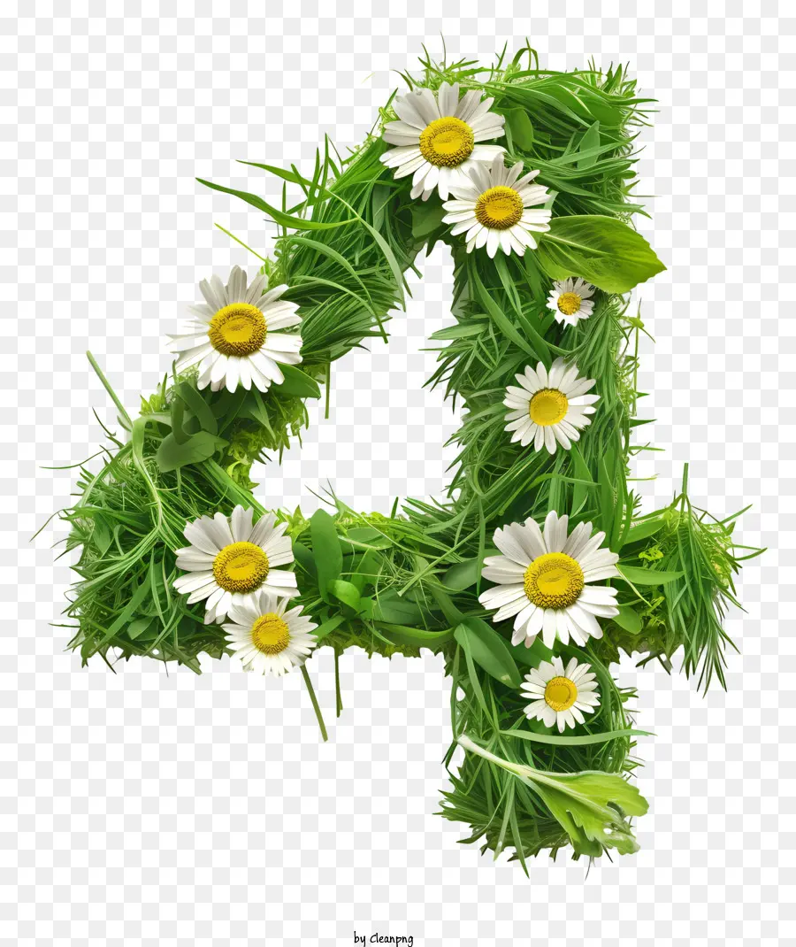 ดอกไม้หมายเลข 4，หญ้าจดหมาย PNG