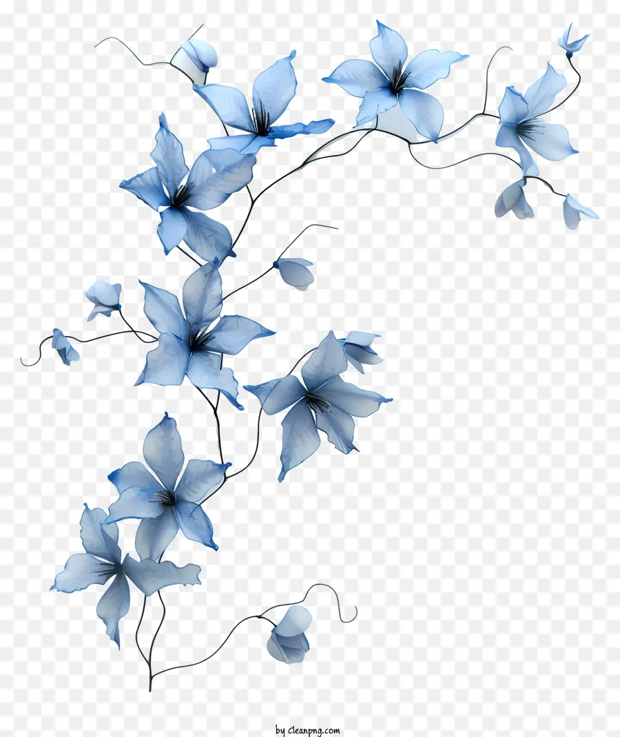 เถาดอกไม้สีฟ้า，สีน้ำเงินดอกไม้ PNG