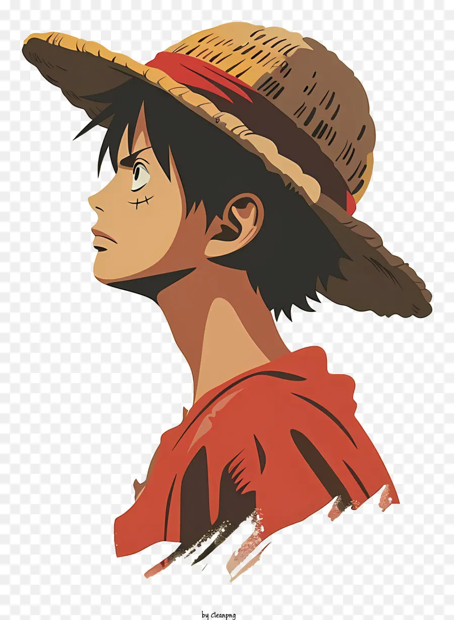 หนึ่งชิ้น Luffy，ตัวละครอนิเมะ PNG