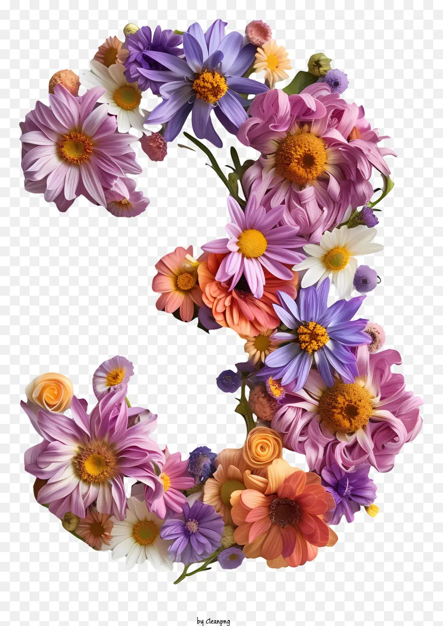 หมายเลขดอกไม้สาม，ดอกไม้หมายเลข 3 PNG