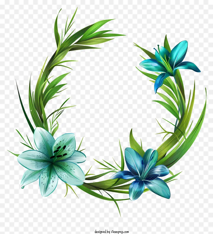 หญ้าวงกลม，สีน้ำเงิน Lilies PNG
