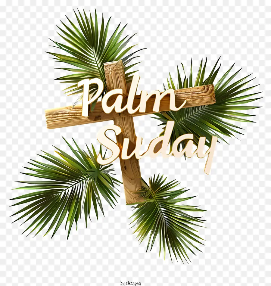 ปาล์มวันอาทิตย์，Palm Sunday Cross PNG