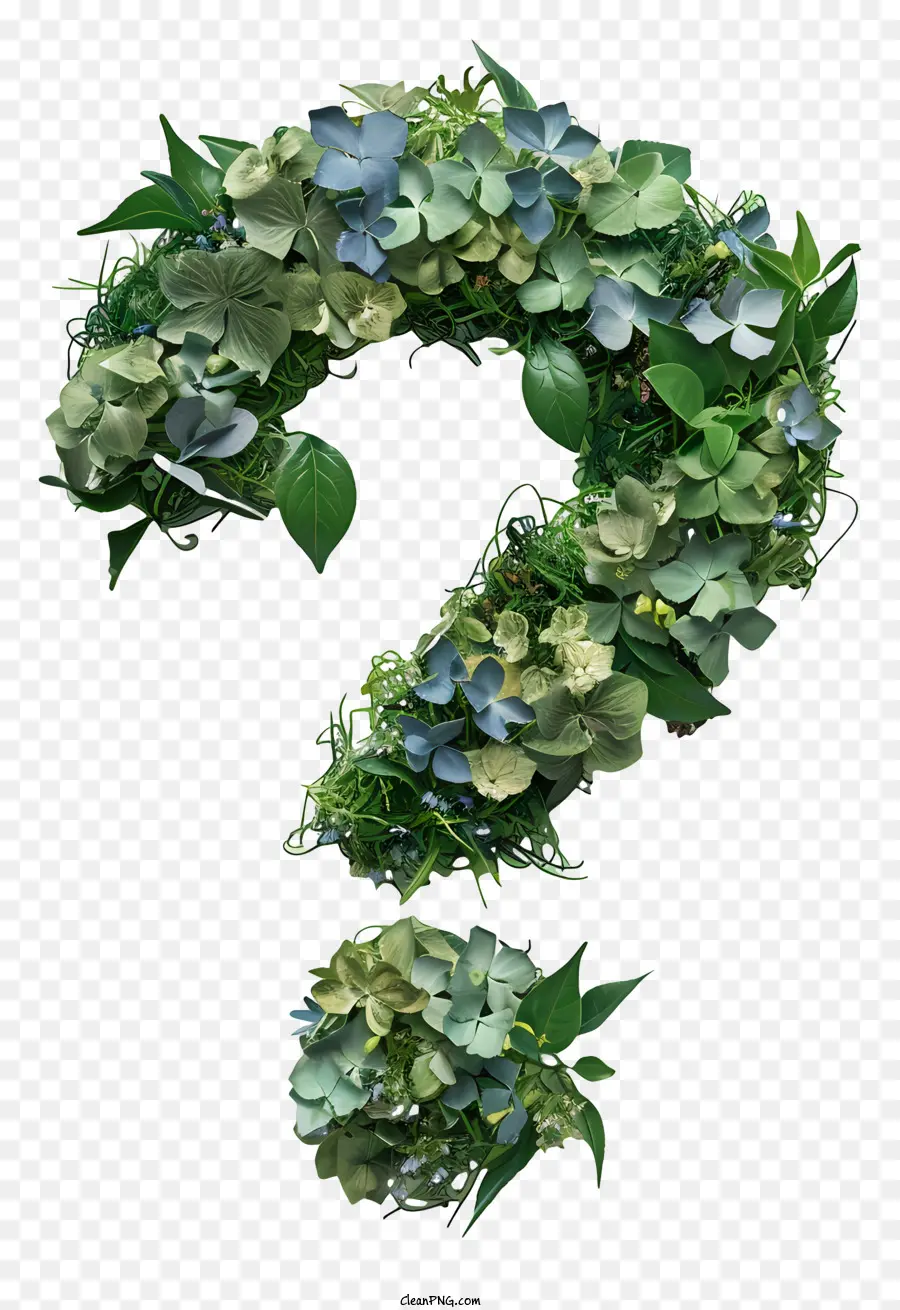 คำถาม，สีเขียว Wreath PNG