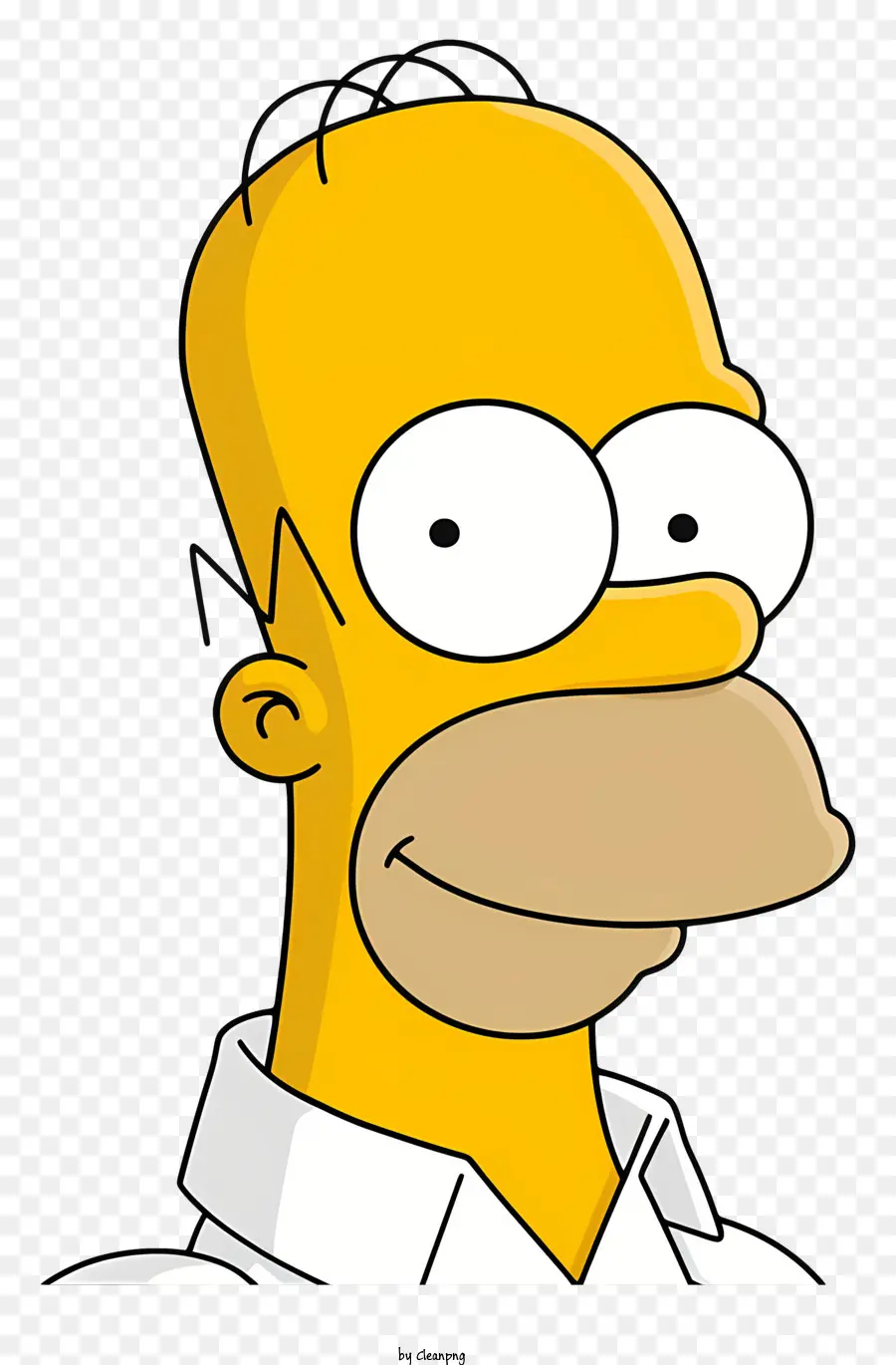 เรื่องเดอะซิมป์สัน，Homer หยั่งงั้นเหมือนกันรึเปล่า PNG