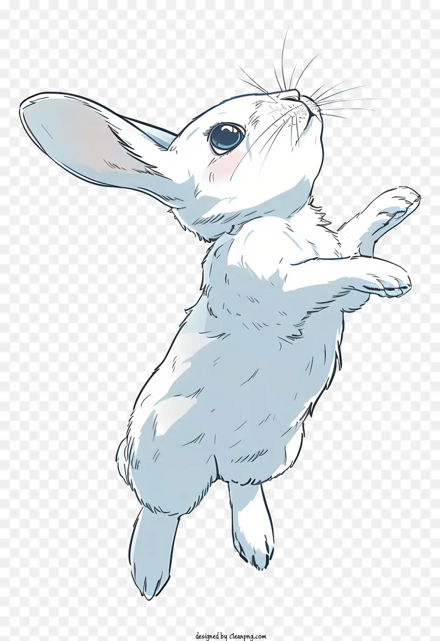 กระต่าย，ผิวขาวกระต่าย PNG