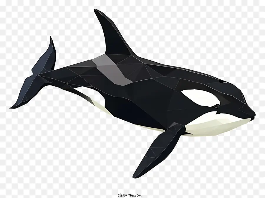 ปลาวาฬฆาตกร，Orca PNG