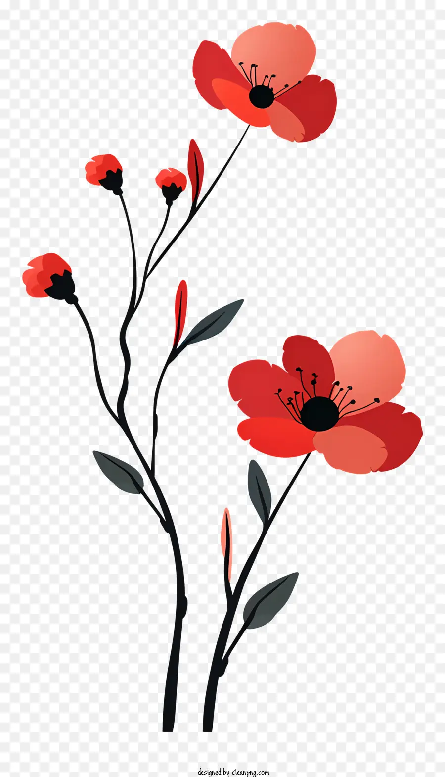 สีแดงดอกไม้，เธอรู้ท่อนโปรดของฉันดอกไม้ PNG