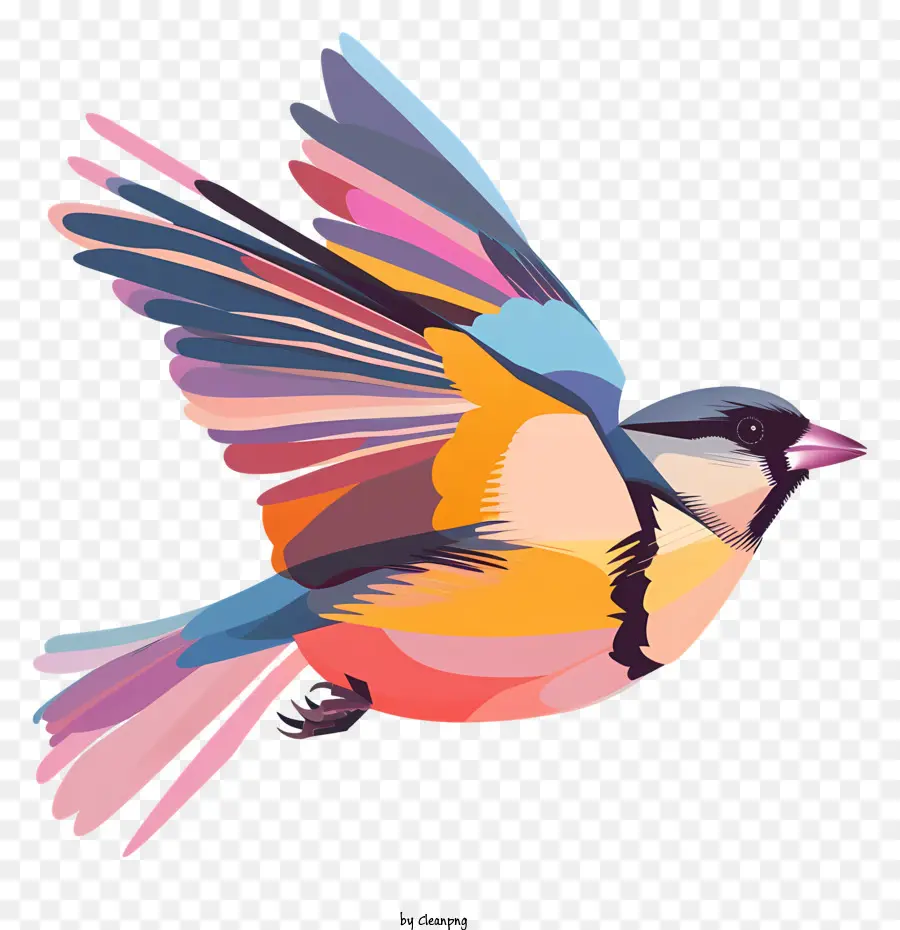 นกการบิน，นกที่มีสีสรร PNG