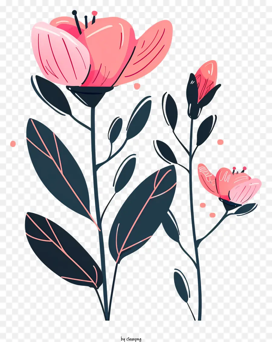 ดอกไม้และตา，ดอกไม้สีชมพู PNG