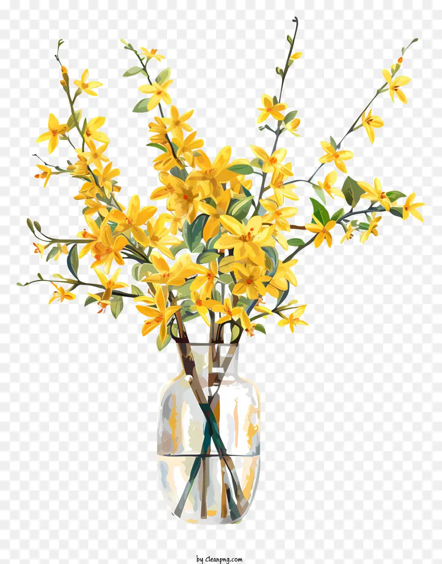 ดอกไม้ Orsythia，สีเหลืองดอกไม้ PNG