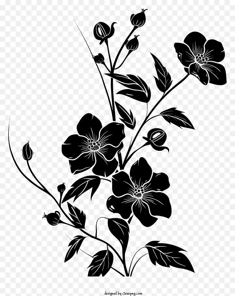 ดอกไม้ Silhouette，สีดำและสีขาว Photography PNG
