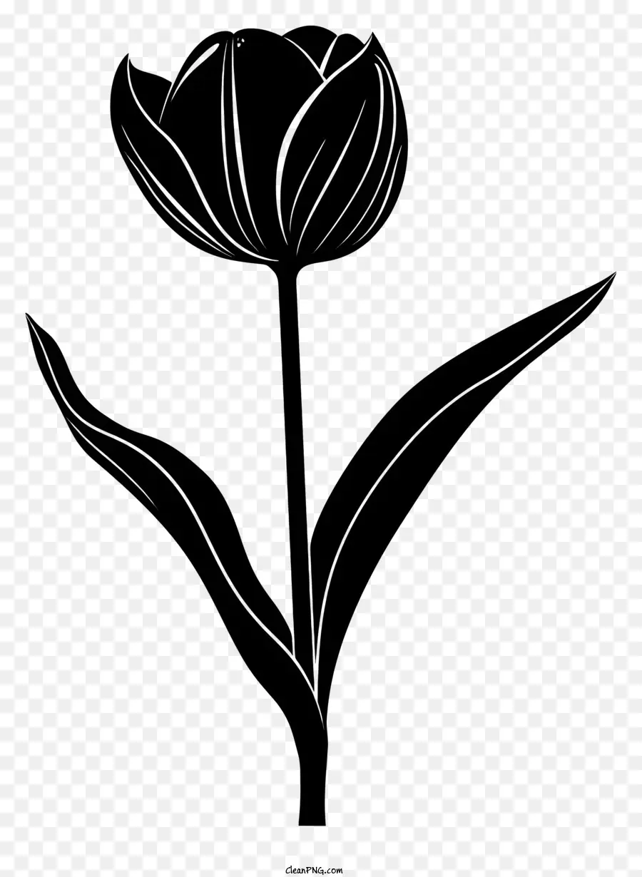 ดอกไม้ Silhouette，ทิวลิป PNG