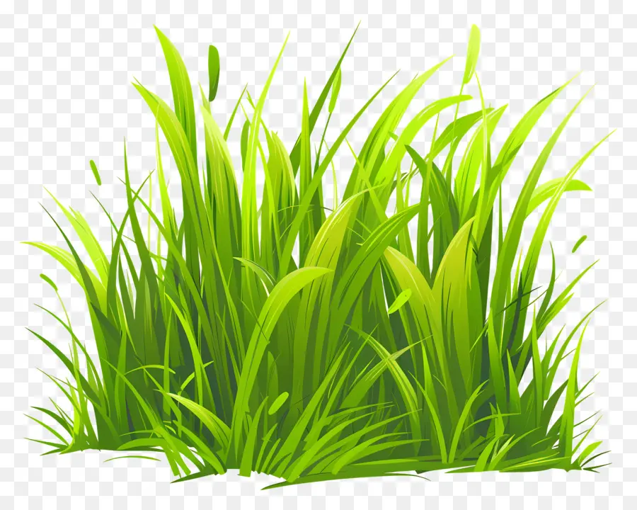 หญ้า，หญ้าสีเขียว PNG