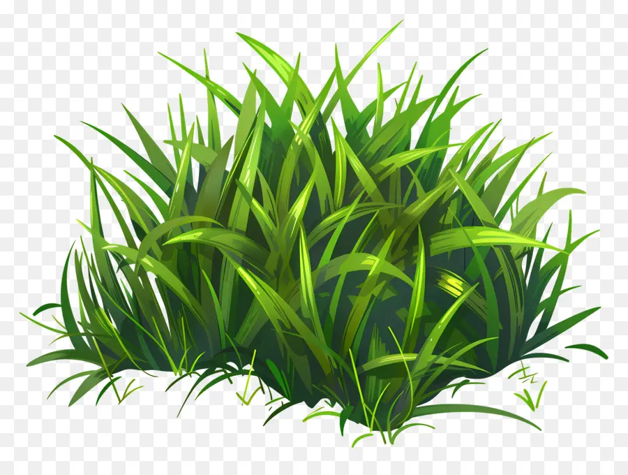 หญ้า，ต้นไม้เขียว PNG