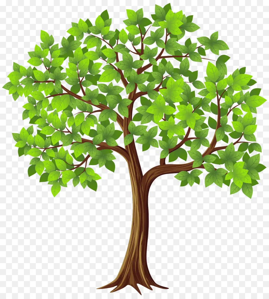 ต้นไม้，ใบไม้สีเขียว PNG