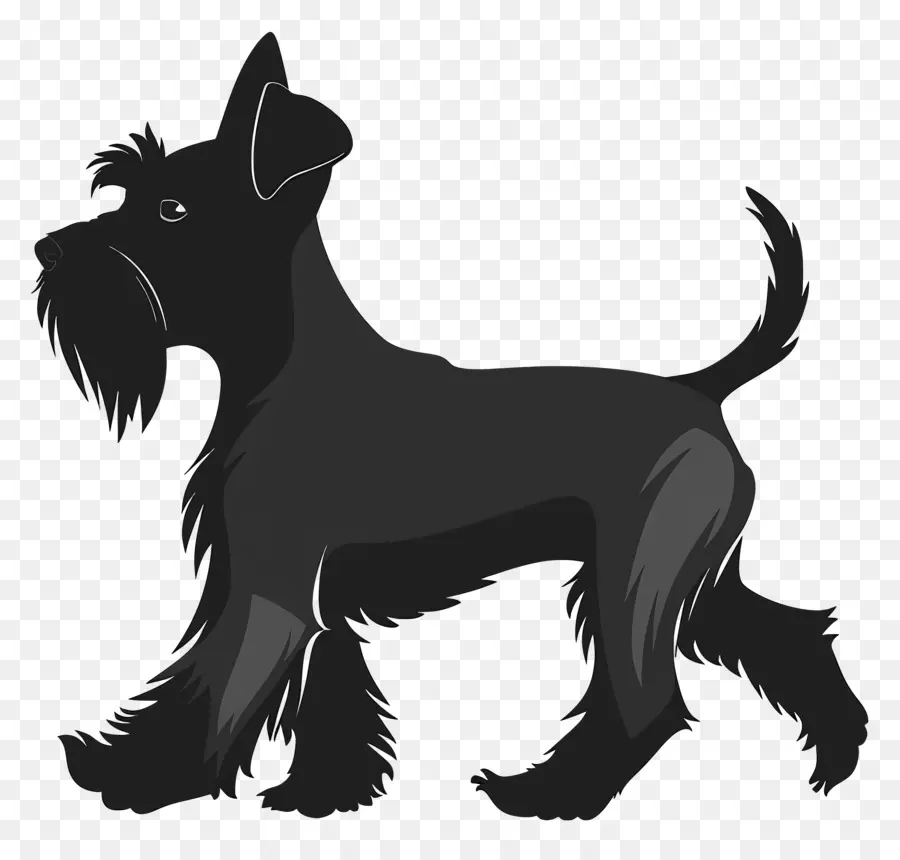 หมา Silhouette，สก๊อตโทรจากปารีส Terrier PNG