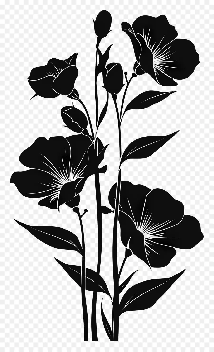 ดอกไม้ Silhouette，เงา PNG