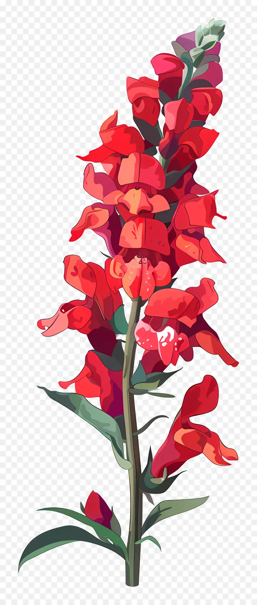 ดอกไม้ Snapdragon，ดอกไม้ Snapdragon สีแดง PNG