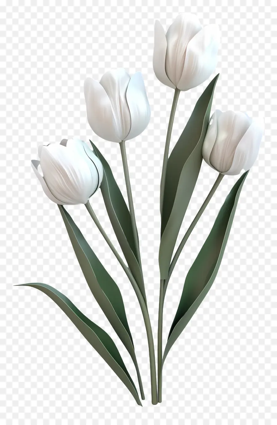 สีขาว Tulips，ดอกไม้ช่อดอกไม้ PNG