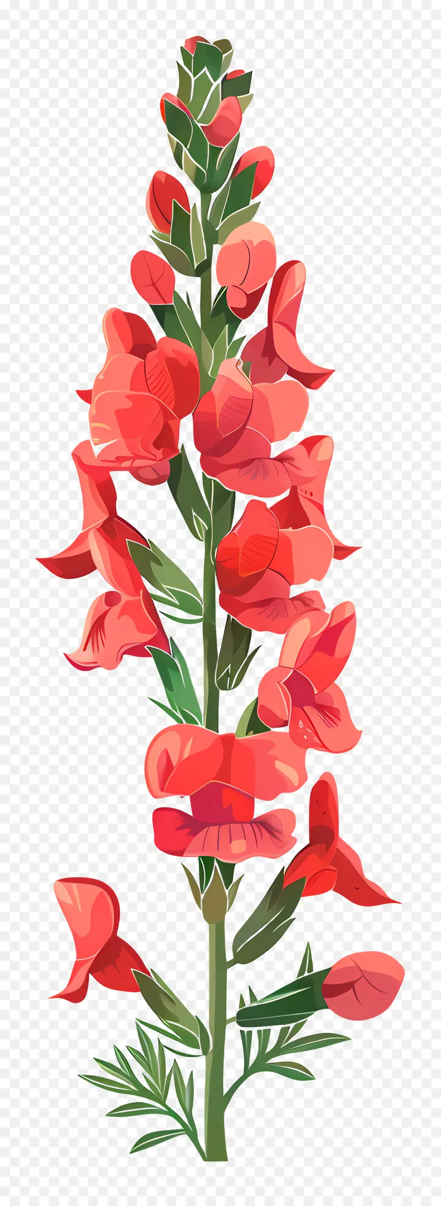 ดอกไม้ Snapdragon，ดอกไม้สีชมพู PNG