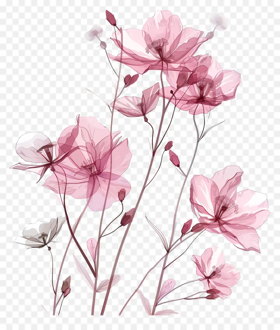 ดอกไม้สีชมพู，ดอกไม้เเจกัน PNG