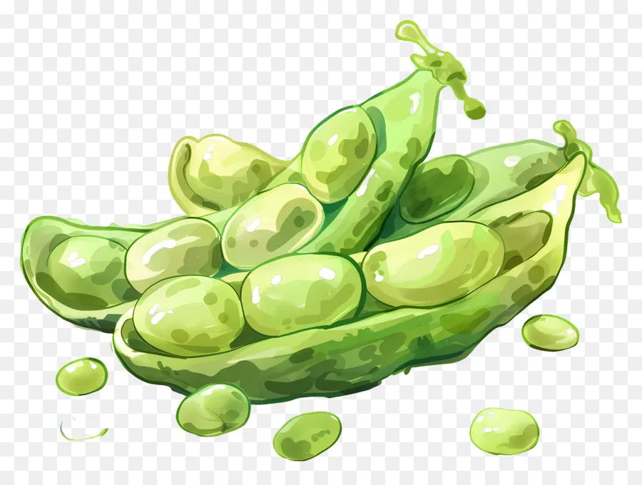 ถั่วลันเตา，Edamame PNG