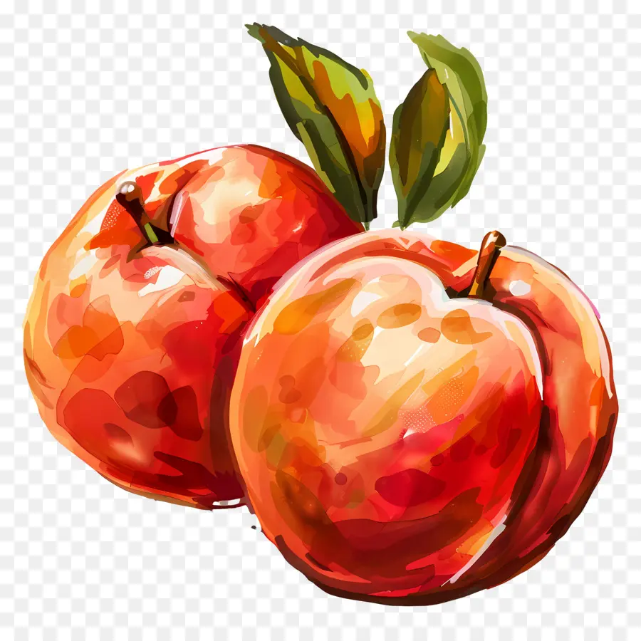 Nectarines，ส้ม PNG