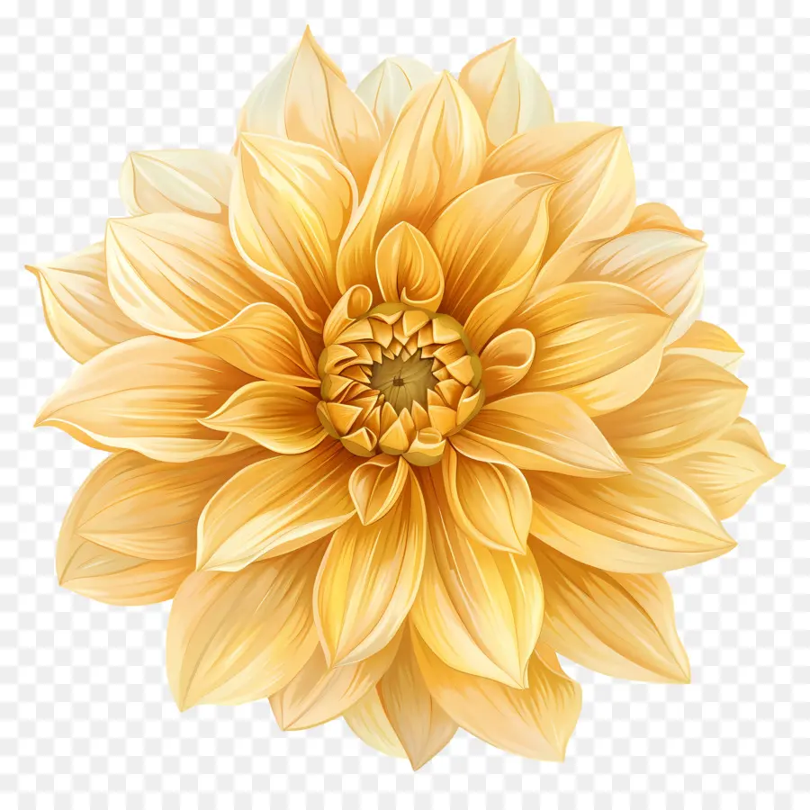 ดอกไม้ Dahlia สีเหลือง，ดอกไม้สีเหลือง PNG